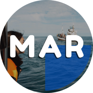 MAR Maritime Training Package